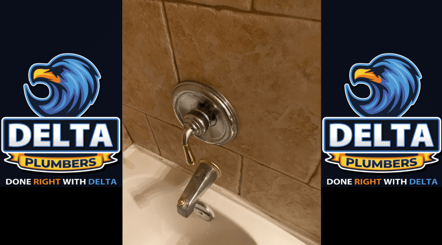 Can a plumber install a faucet - Delta Plumbers