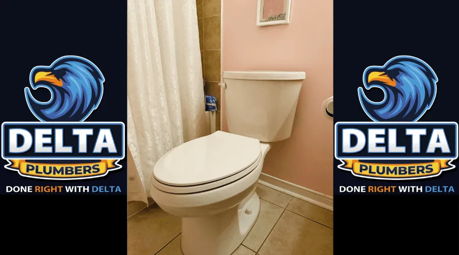 Do you need a plumber to install a new toilet - Delta Plumbers