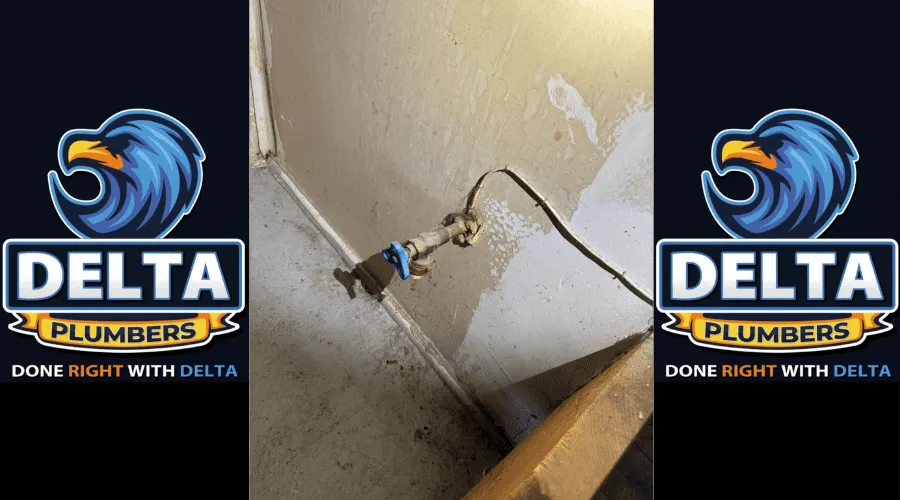 Do you need a plumber to replace an outdoor faucet - Delta Plumbers
