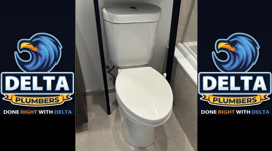 How long does it take a plumber to install a new toilet - Delta Plumbers