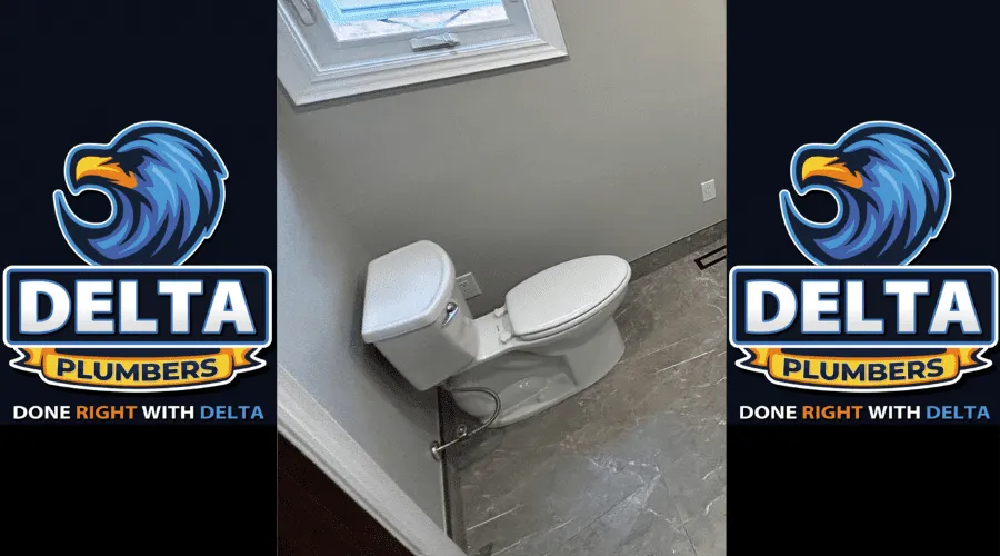 How much does it cost to remove an old toilet and install a new one - Delta Plumbers