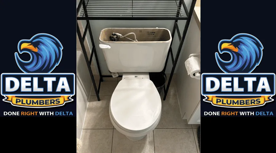 How much does it cost to reset a toilet - Delta Plumbers