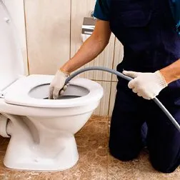 Toilet Clogged - Delta Plumbers