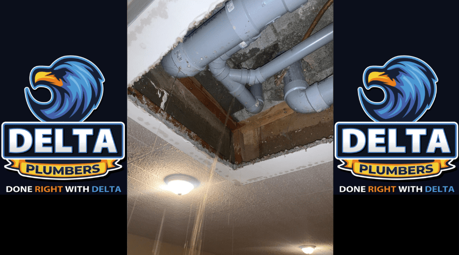 What are Three Things to Check on the Drainage System - Delta Plumbers