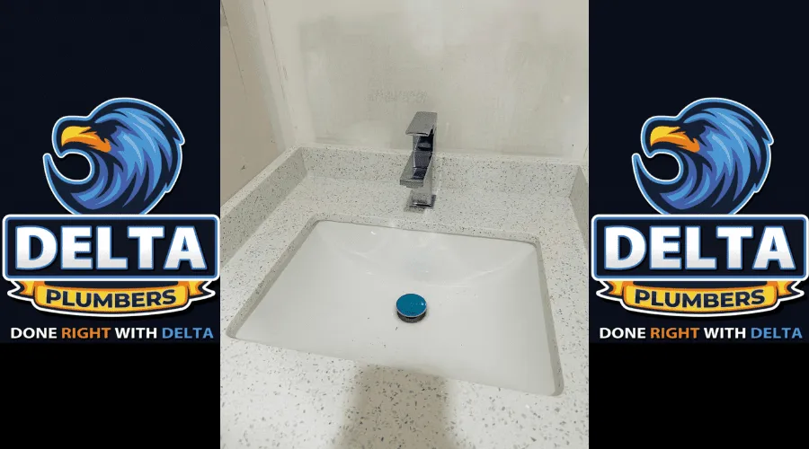 What happens when a sink backs up - Delta Plumbers