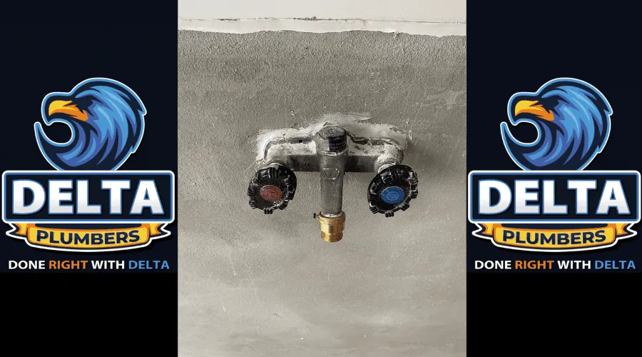 What is the difference between a spigot and a faucet - Delta Plumbers