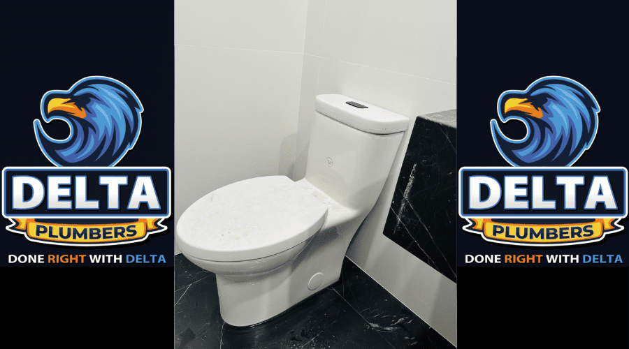 How to Unblock a Badly Blocked Toilet - Delta Plumbers