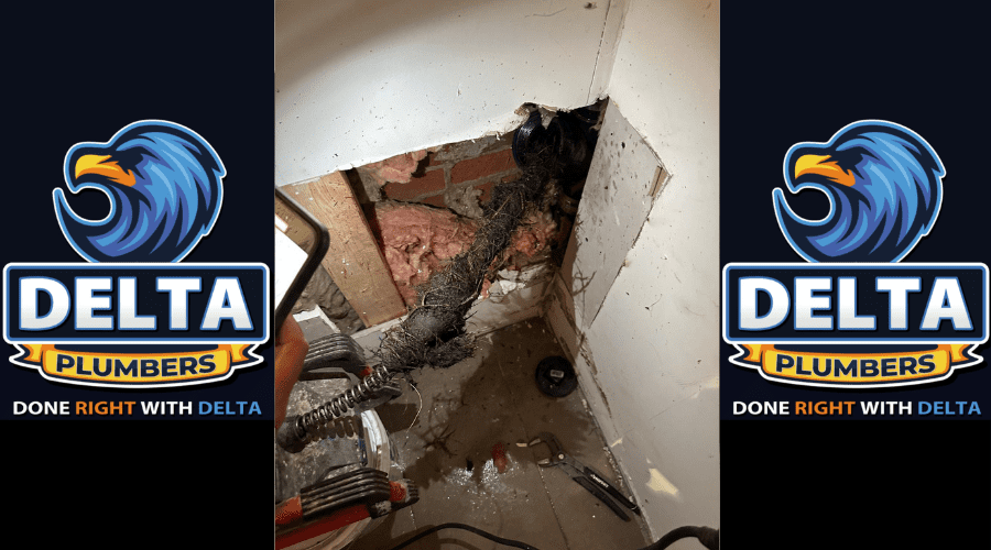 Signs You May Need a Sewer Line Replacement - Delta Plumbers