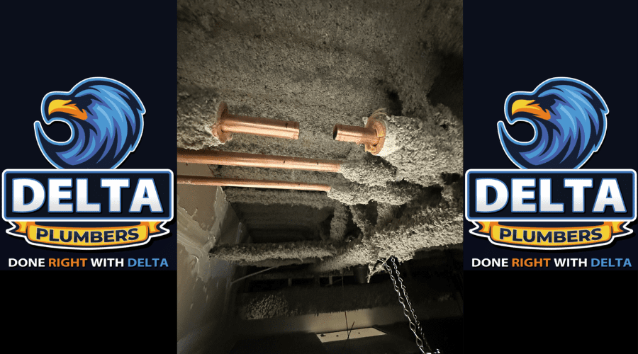 How Do You Maintain Plumbing - Delta Plumbers