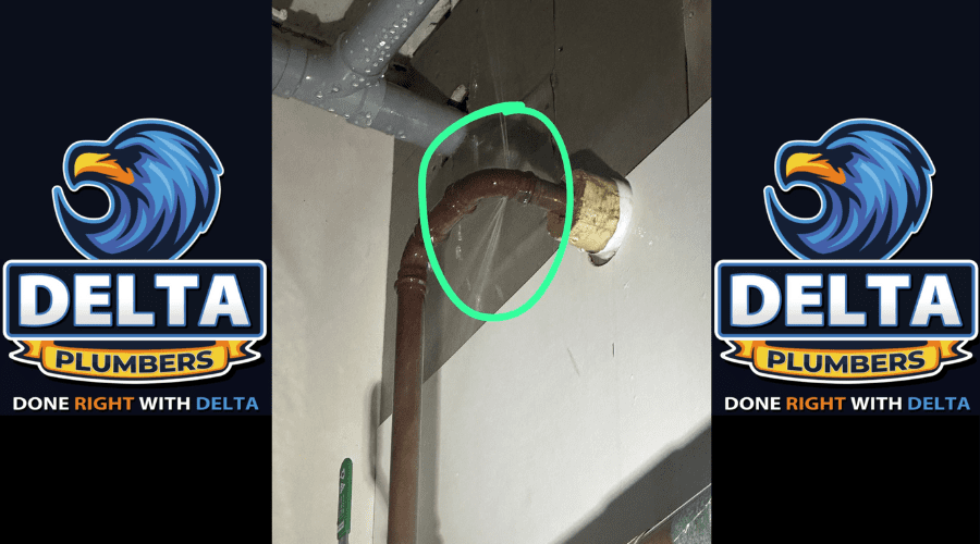 Can I Leave a Leak Overnight - Delta Plumbers