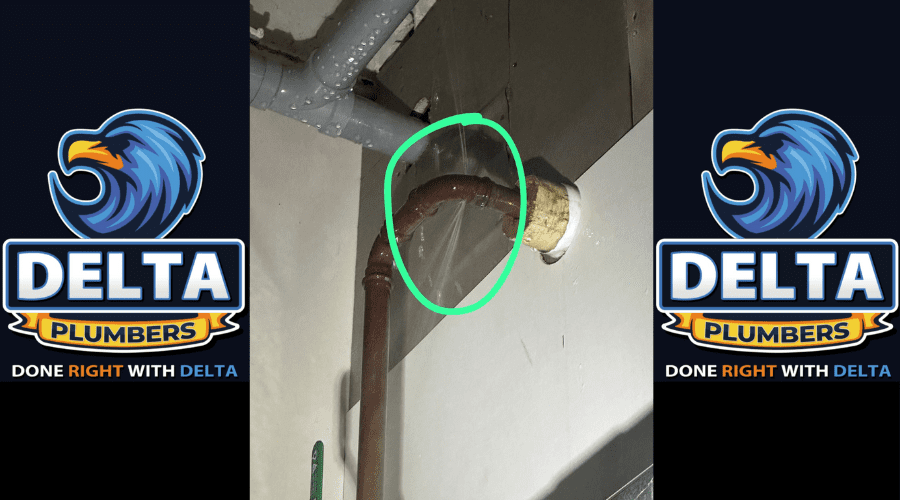 What Is the Quality of a Plumber - Delta Plumbers