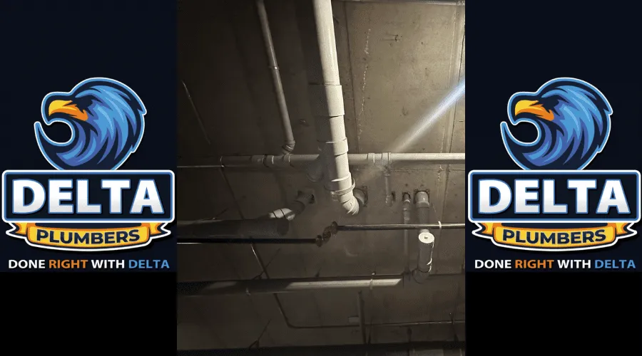 What Are 3 Benefits of Drainage - Delta Plumbers