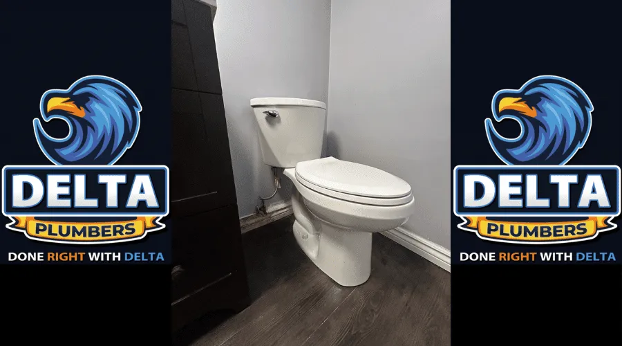What is an Easy and Cheap Method for Finding a Leak in the Toilet - Delta Plumbers