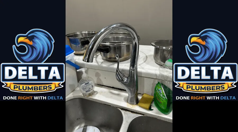 Why Does My Kitchen Sink Keep Getting Clogged - Delta Plumbers