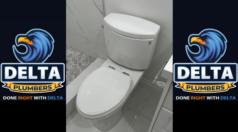 Can You Replace a Toilet Easily - Delta Plumbers