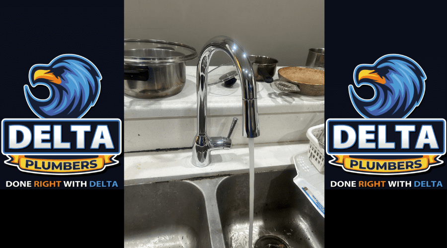 Should I Call a Plumber or Do It Myself - Delta Plumbers