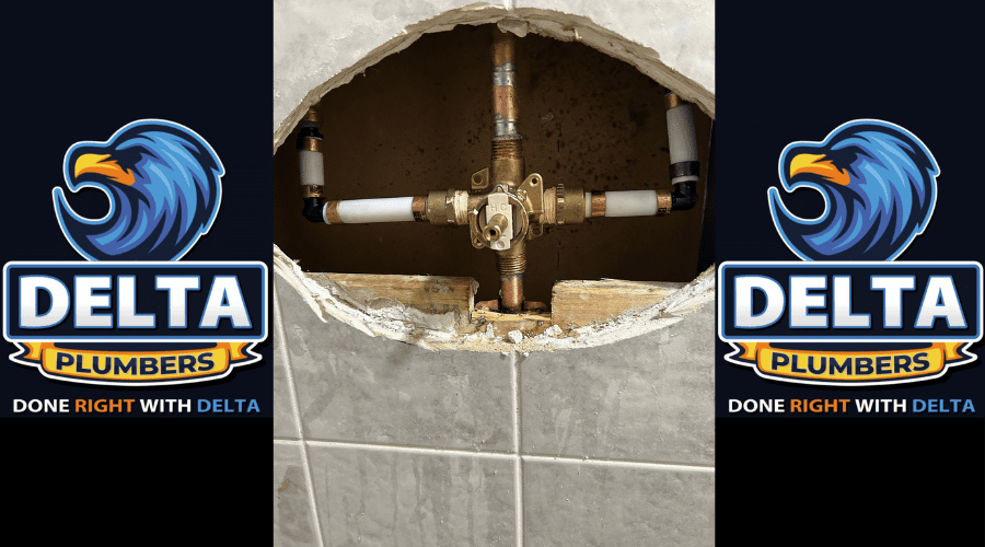 What Is the Most Common Job for a Plumber - Delta Plumbers