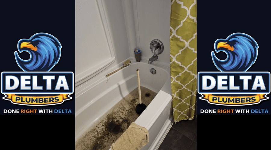 Why Should Drains Be Cleaned Regularly - Delta Plumbers