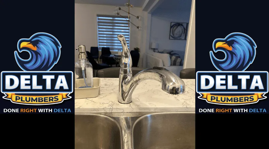 What is the oldest plumbing code - Delta Plumbers