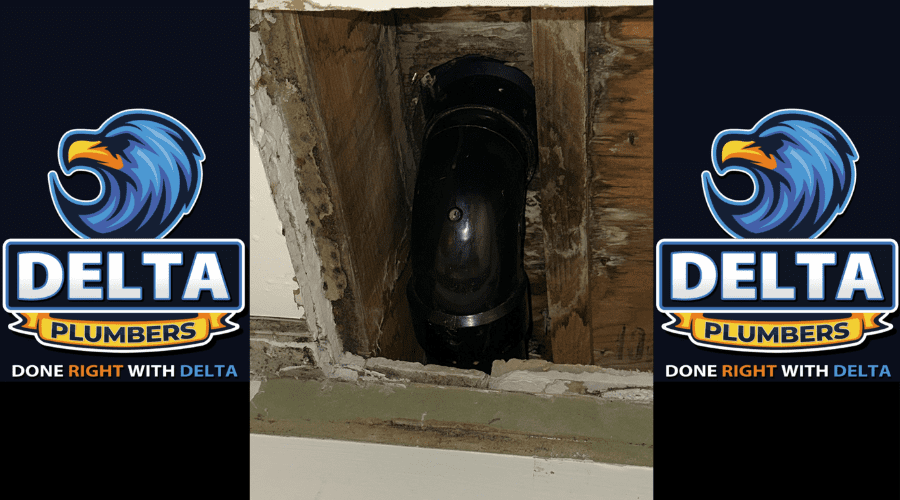 Warning Signs of Sewer Line Problems - Delta Plumbers
