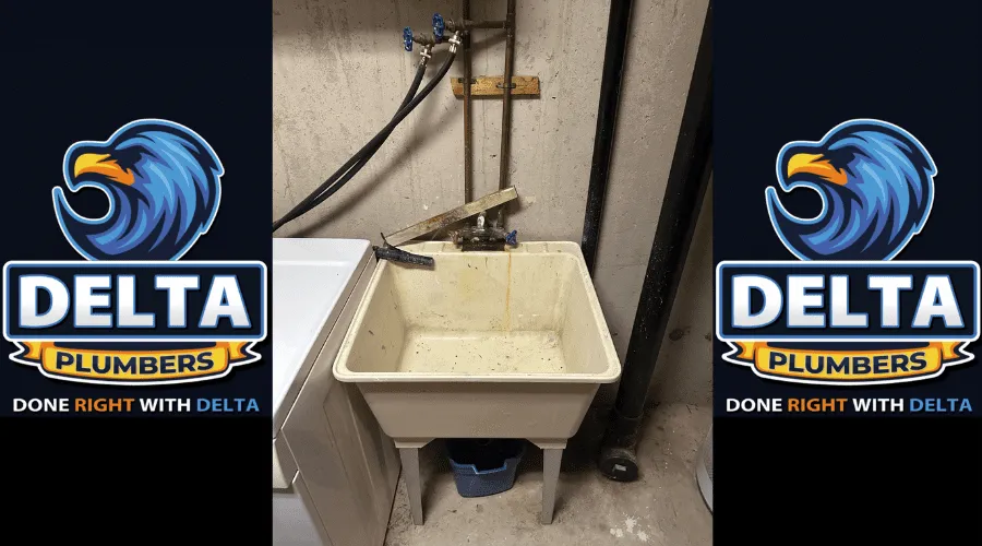 What Did Romans Use Instead of Toilet Paper - Delta Plumbers