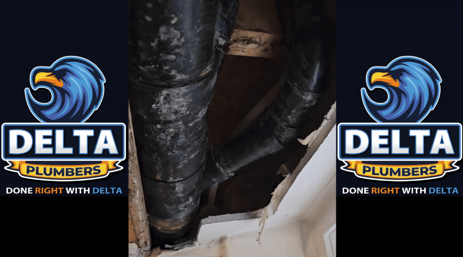 When to Call a Professional Plumber - Delta Plumbers