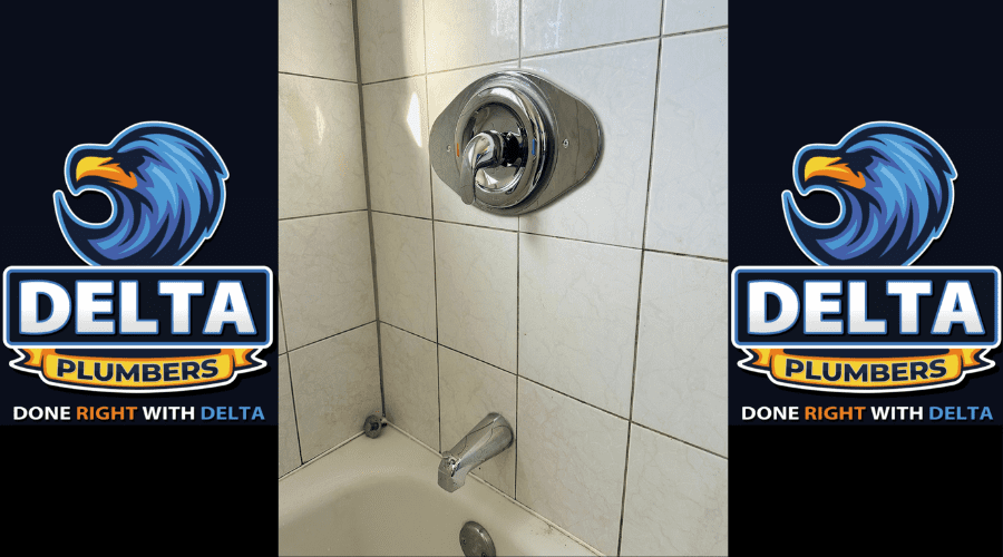 Evaluating Water Heater Performance - Delta Plumbers