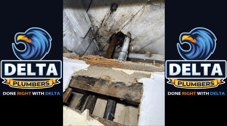 How Often Should You Schedule Drain Cleaning - Delta Plumbers