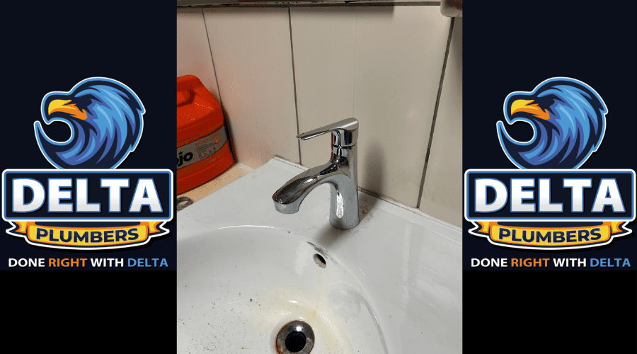 Inspecting Common Leak-Prone Areas - Delta Plumbers