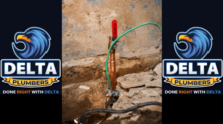 Testing and Maintaining Sump Pumps - Delta Plumbers