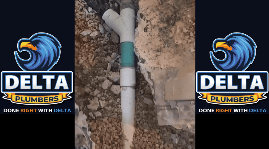 Check for Tree Root Intrusion in Sewer Lines - Delta Plumbers