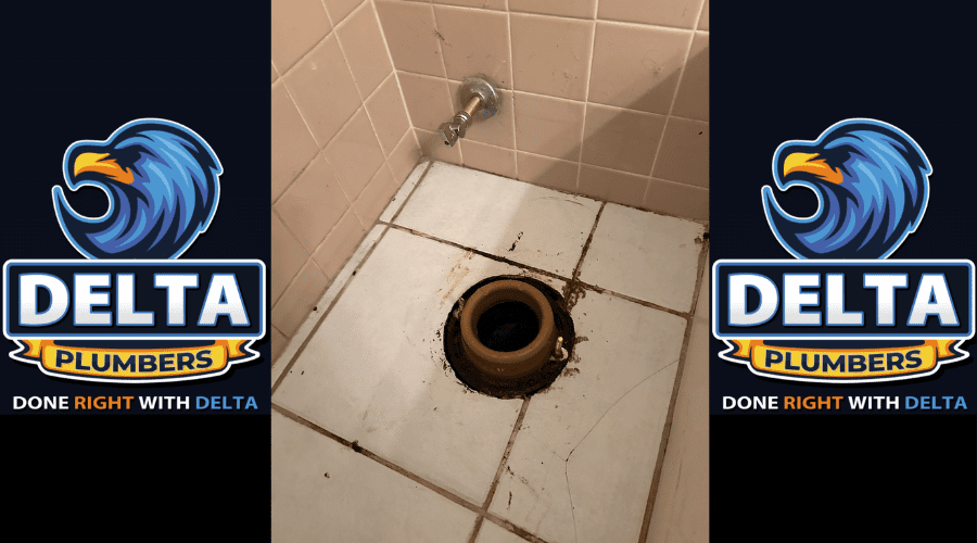 Common Signs You Need a Drain Pipe Replacement - Delta Plumbers