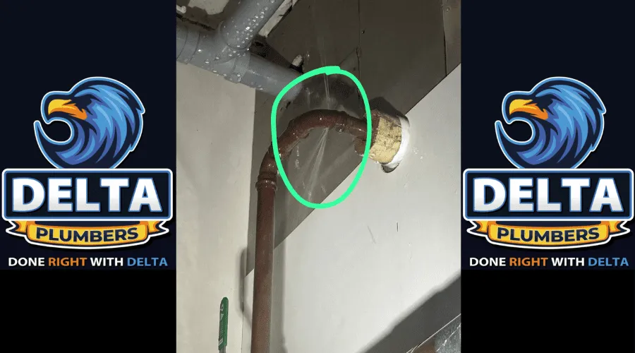 Low Water Pressure from Leaks or Pipe Buildup - Delta Plumbers