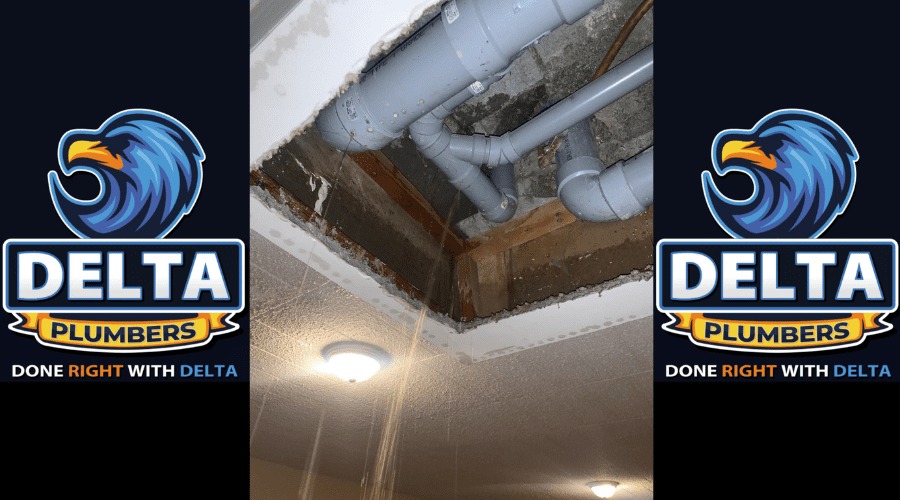 Professional Sewer Line Inspections - Delta Plumbers