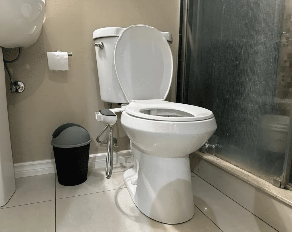 Bidet Installation