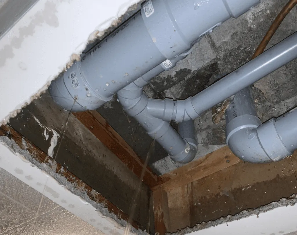 Drain Cleaning