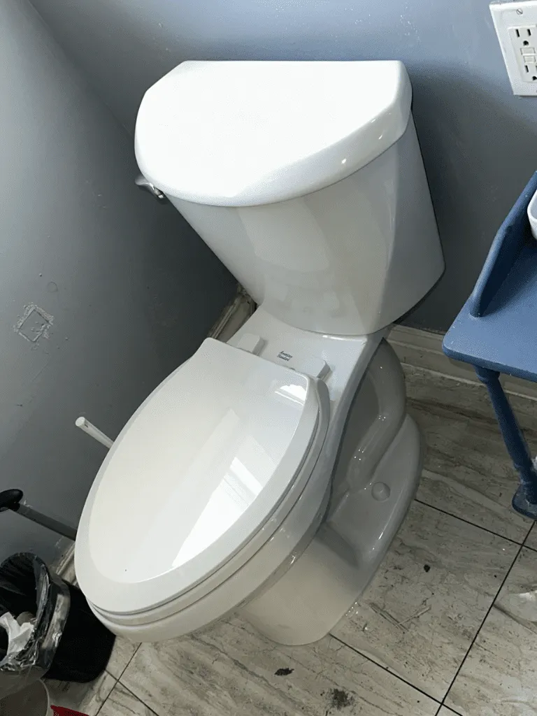 Emergency Toilet Installation Plumbing Company Near Me - Delta Plumbers Ajax