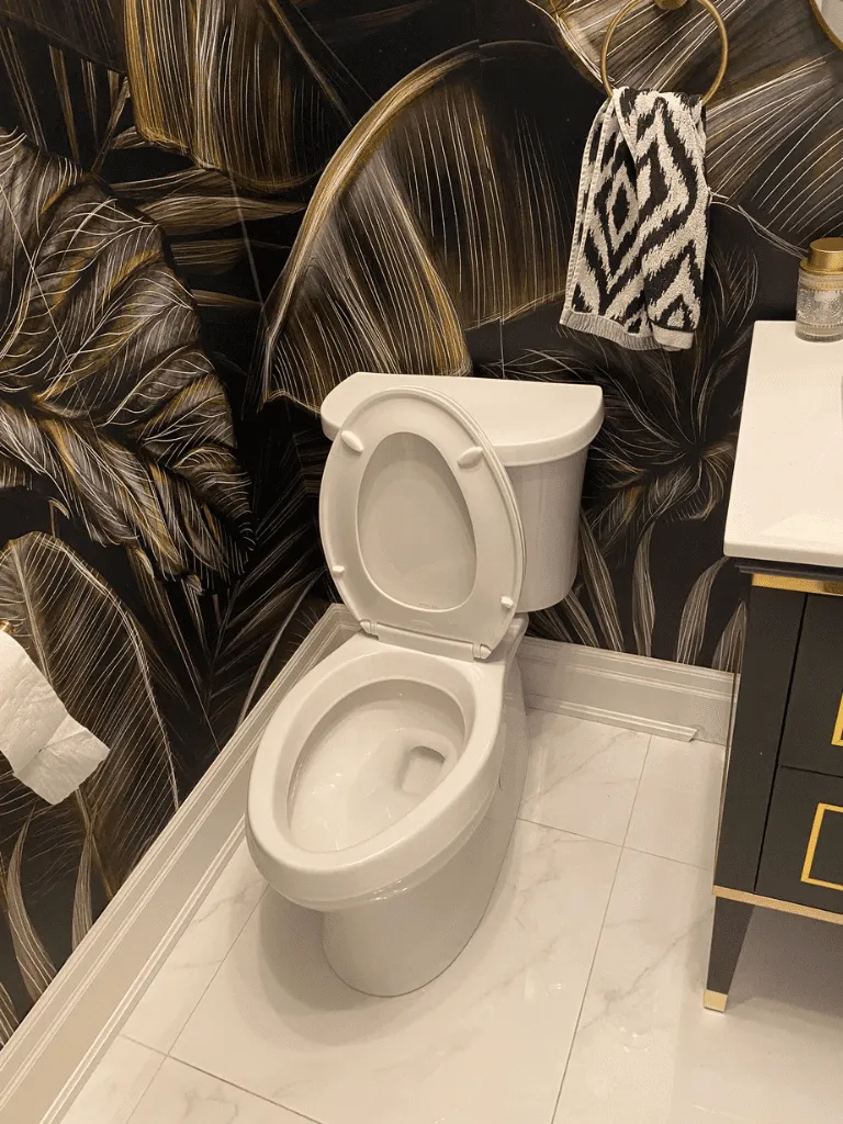 Emergency Toilet Repair Service by Professionals in Toronto - Delta Plumbers