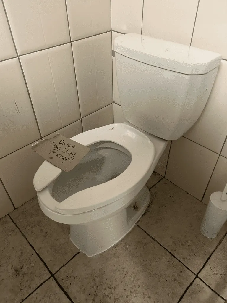 Emergency Toilet Repair Service in Pickering by Delta Plumbers
