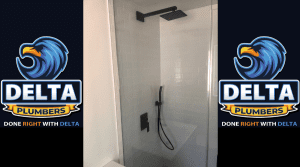 How Much Does It Cost to Remove a Tub and Install a Walk-In Shower - Delta Plumbers