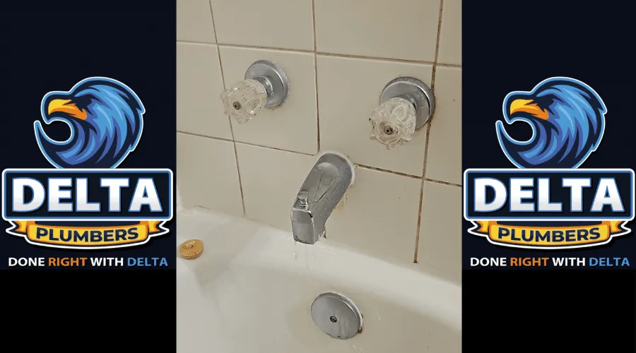 How Much Does It Cost to Repair a Leaky Shower Faucet - Delta Plumbers