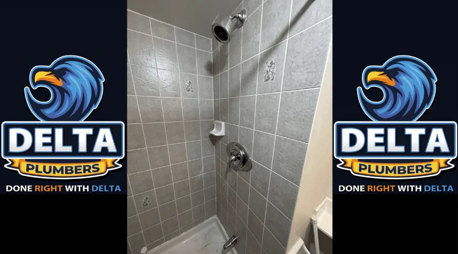 How to Find the Source of a Shower Leak - Delta Plumbers