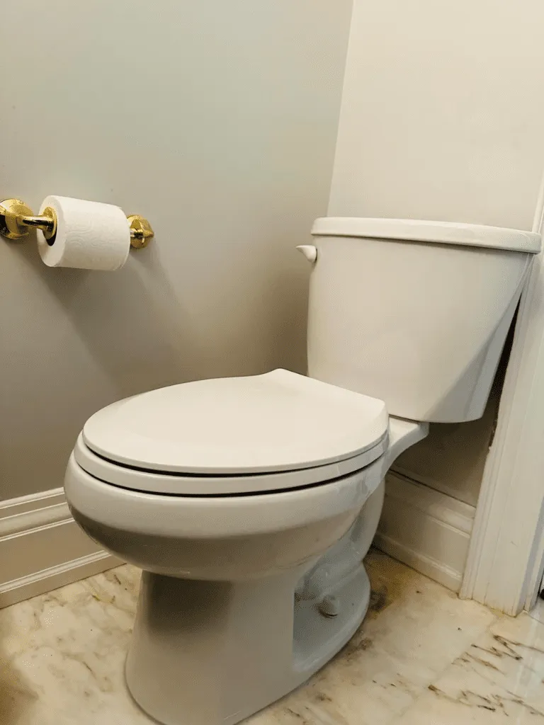 New Toilet Installation Service in Vaughan - Delta Plumbers