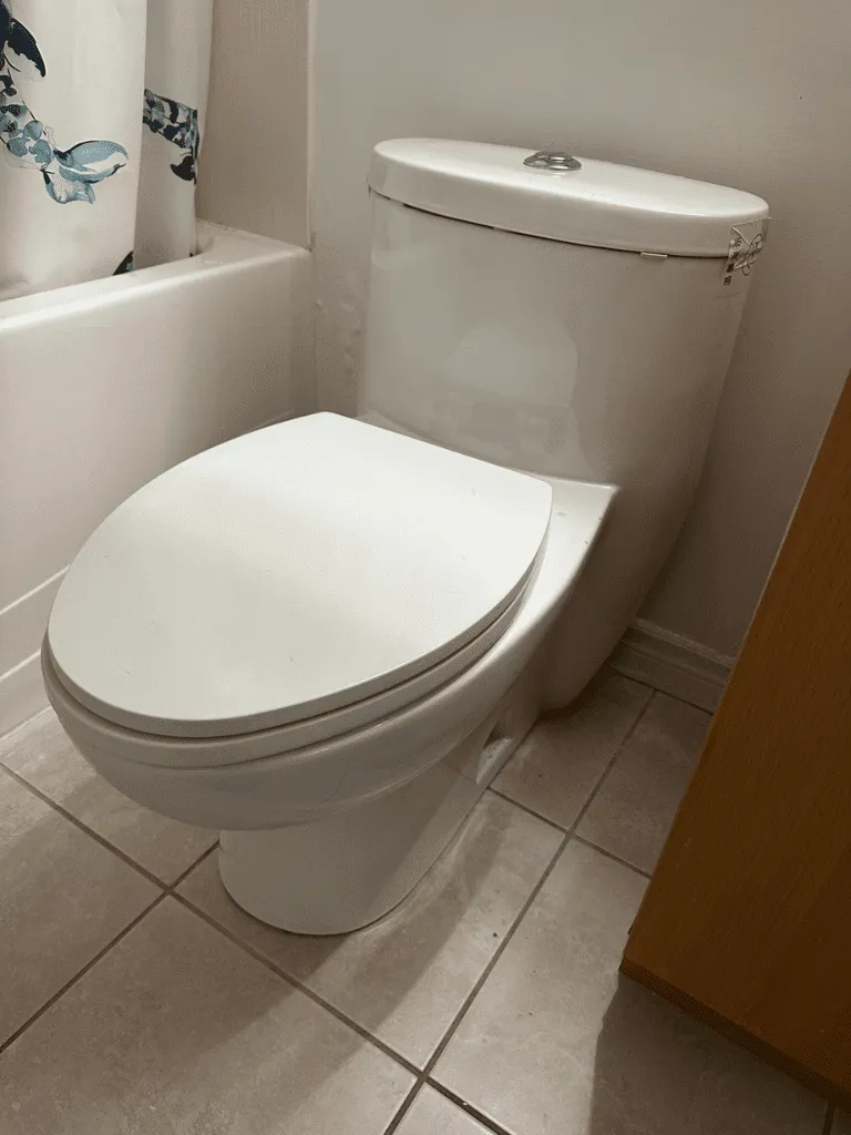 Same-Day Toilet Installation Experts in Etobicoke - Delta Plumbers