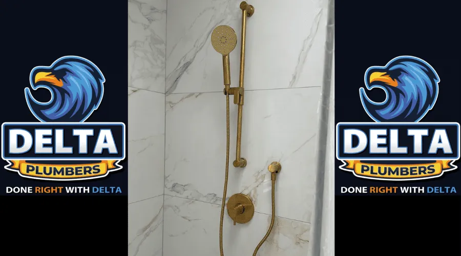 What Causes the Shower Handle to Leak - Delta Plumbers