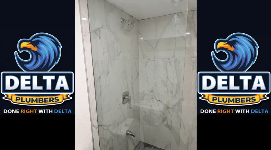 What Is the Most Common Cause of Shower Leaks - Delta Plumbers