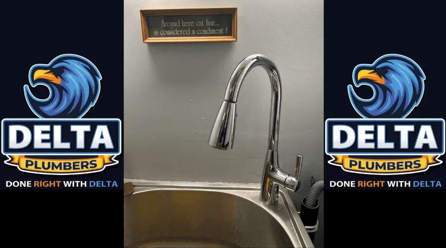 Rust, Corrosion, or Mineral Deposits - Delta Plumbers