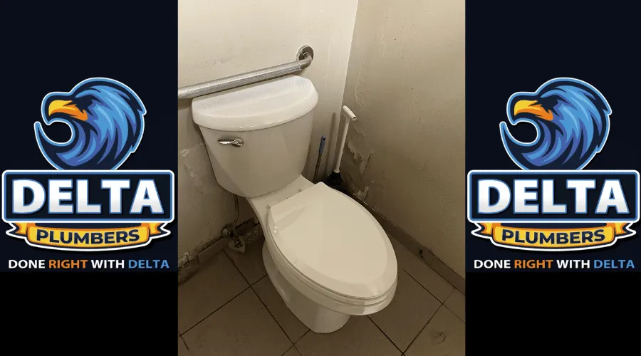 Choosing the Best Toilet for Replacement Style, Size & Efficiency - Delta Plumbers