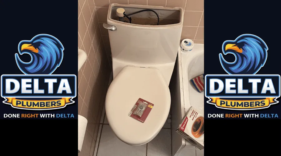 How Much Does a Toilet Replacement Cost in Canada - Delta Plumbers