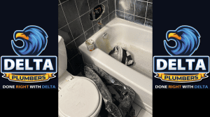 What Is the Best Product to Unblock a Bath Drain - Delta Plumbers